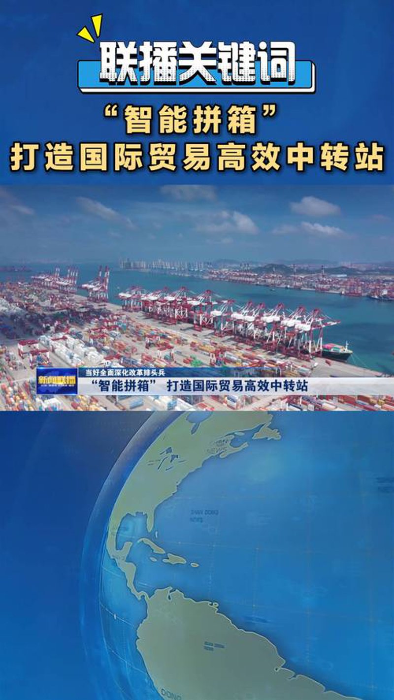 外贸公司的选择：从新手到专家的必备指南